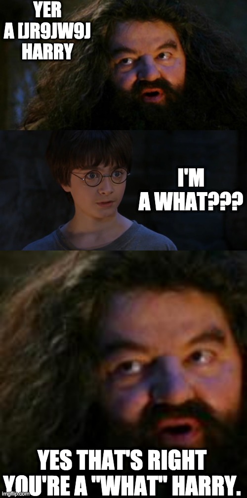 what | YER A [JR9JW9J HARRY; I'M A WHAT??? YES THAT'S RIGHT YOU'RE A "WHAT" HARRY. | image tagged in yer a wizard harry | made w/ Imgflip meme maker