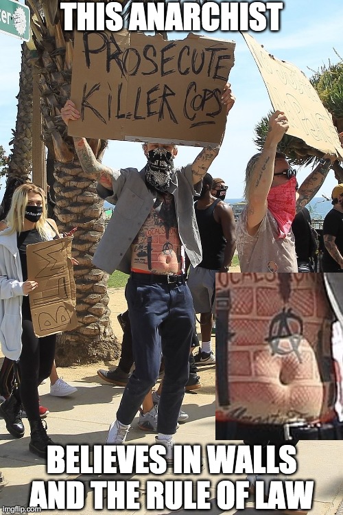Can't make this up! | THIS ANARCHIST; BELIEVES IN WALLS AND THE RULE OF LAW | image tagged in blm | made w/ Imgflip meme maker