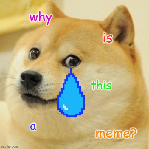 Doge | why; is; this; a; meme? | image tagged in memes,doge | made w/ Imgflip meme maker