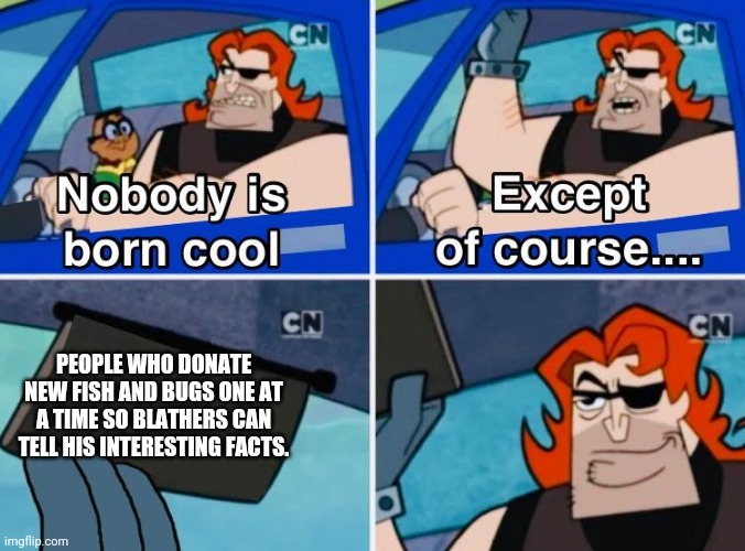 Nobody is born cool | PEOPLE WHO DONATE NEW FISH AND BUGS ONE AT A TIME SO BLATHERS CAN TELL HIS INTERESTING FACTS. | image tagged in nobody is born cool | made w/ Imgflip meme maker