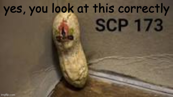SCP-173 meme | yes, you look at this correctly | image tagged in scp meme | made w/ Imgflip meme maker