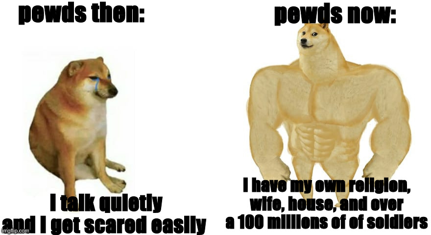 AOUH! | pewds then:; pewds now:; I have my own religion, wife, house, and over a 100 millions of of soldiers; I talk quietly and I get scared easily | image tagged in weak doge strong doge | made w/ Imgflip meme maker