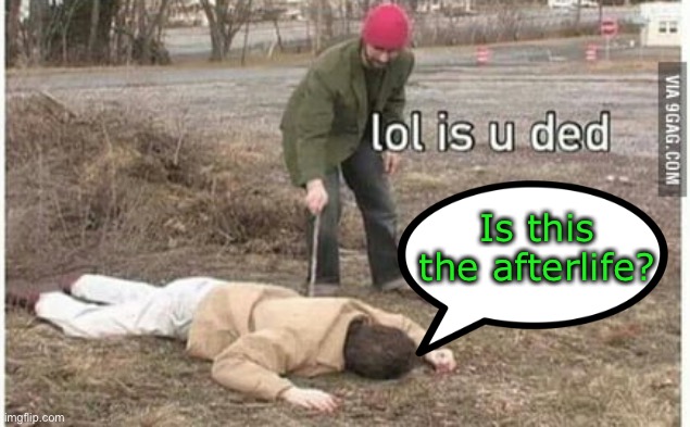 is you ded | Is this the afterlife? | image tagged in is you ded | made w/ Imgflip meme maker