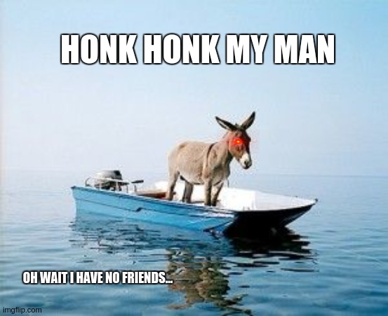 honk honk my man | HONK HONK MY MAN; OH WAIT I HAVE NO FRIENDS... | image tagged in donkey on a boat | made w/ Imgflip meme maker
