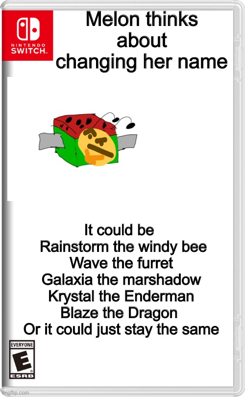 I have nowhere else to put this | Melon thinks about changing her name; It could be 

 Rainstorm the windy bee
Wave the furret
Galaxia the marshadow
Krystal the Enderman
Blaze the Dragon 


Or it could just stay the same | image tagged in nintendo switch | made w/ Imgflip meme maker