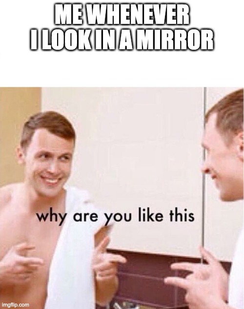 why are you like this | ME WHENEVER I LOOK IN A MIRROR | image tagged in why are you like this | made w/ Imgflip meme maker