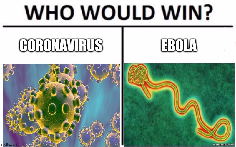 Coming to an apocloypse near you soon | CORONAVIRUS; EBOLA | image tagged in memes,who would win | made w/ Imgflip meme maker