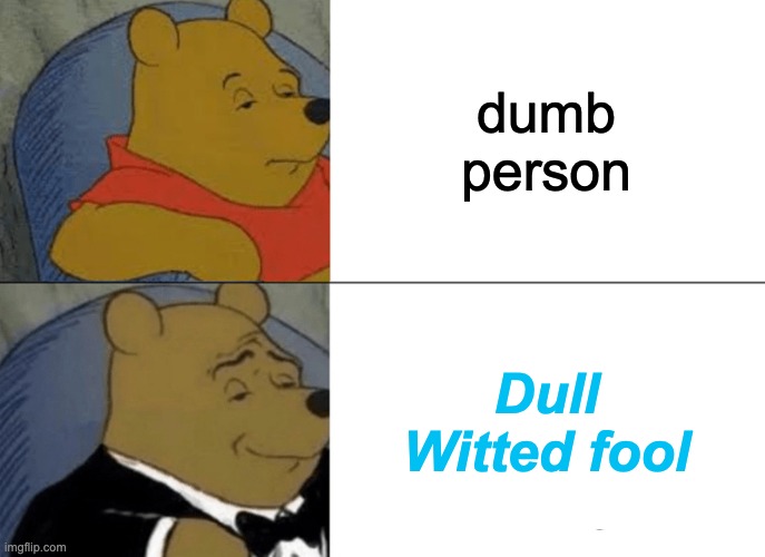 Tuxedo Winnie The Pooh | dumb person; Dull Witted fool | image tagged in memes,tuxedo winnie the pooh | made w/ Imgflip meme maker