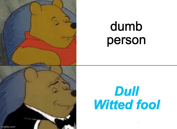 Tuxedo Winnie The Pooh Meme | dumb person; Dull Witted fool | image tagged in memes,tuxedo winnie the pooh | made w/ Imgflip meme maker