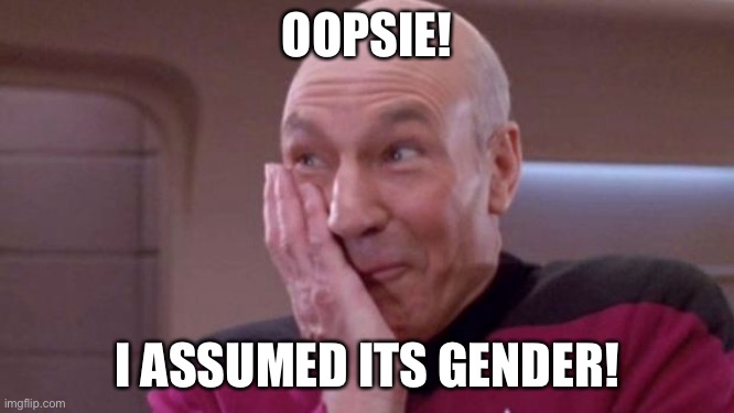 picard oops | OOPSIE! I ASSUMED ITS GENDER! | image tagged in picard oops | made w/ Imgflip meme maker