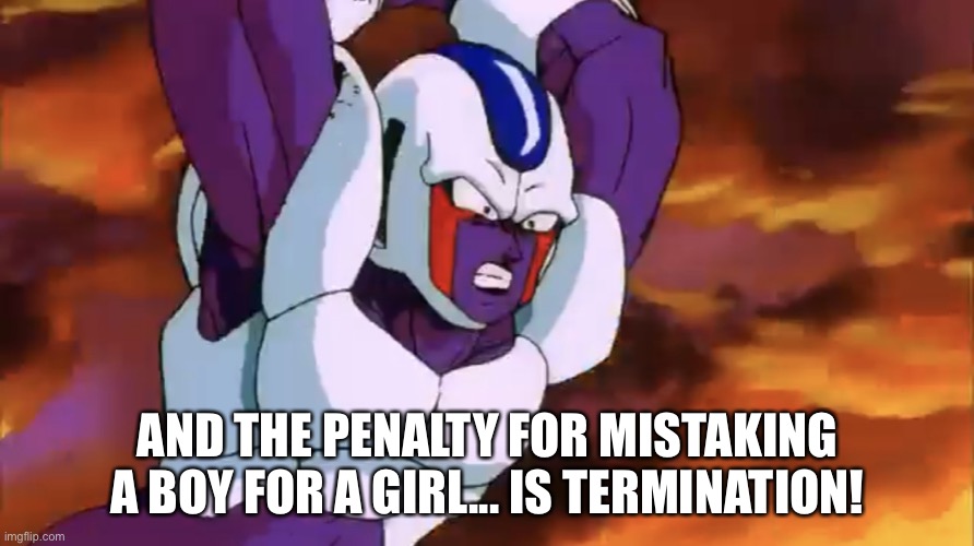 Cooler Forward Aerial | AND THE PENALTY FOR MISTAKING A BOY FOR A GIRL... IS TERMINATION! | image tagged in cooler forward aerial | made w/ Imgflip meme maker