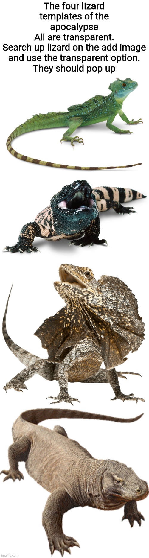 Or search the image tags | The four lizard templates of the apocalypse
All are transparent.
Search up lizard on the add image and use the transparent option.
They should pop up | image tagged in gila monster,frilled lizard,komodo dragon,basilisk,can i be mod | made w/ Imgflip meme maker