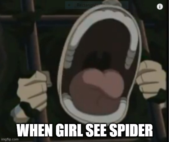 WHEN GIRL SEE SPIDER | made w/ Imgflip meme maker