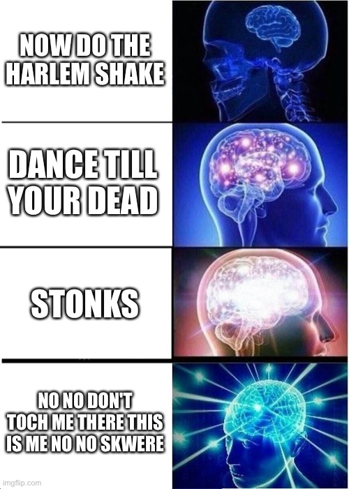 Expanding Brain | NOW DO THE HARLEM SHAKE; DANCE TILL YOUR DEAD; STONKS; NO NO DON'T TOCH ME THERE THIS IS ME NO NO SKWERE | image tagged in memes,expanding brain | made w/ Imgflip meme maker