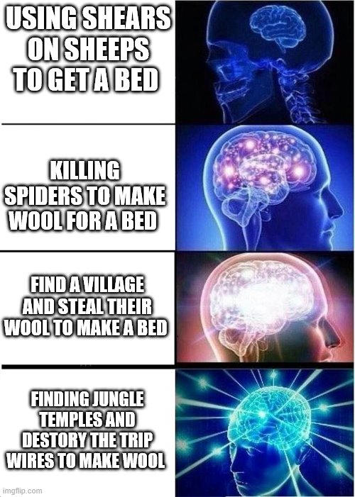 levels of intelligence | USING SHEARS ON SHEEPS TO GET A BED; KILLING SPIDERS TO MAKE WOOL FOR A BED; FIND A VILLAGE AND STEAL THEIR WOOL TO MAKE A BED; FINDING JUNGLE TEMPLES AND DESTORY THE TRIP WIRES TO MAKE WOOL | image tagged in levels of intelligence,minecraft | made w/ Imgflip meme maker