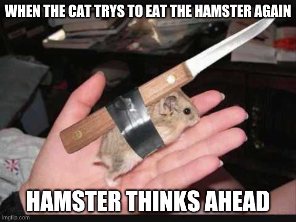 Lock and Load Hamster | WHEN THE CAT TRYS TO EAT THE HAMSTER AGAIN HAMSTER THINKS AHEAD | image tagged in lock and load hamster | made w/ Imgflip meme maker
