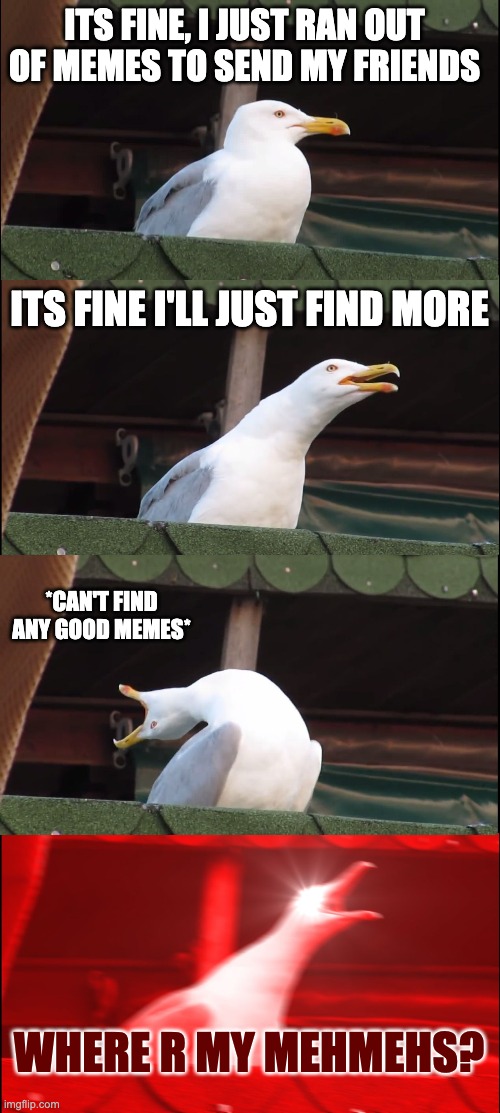 Ran out of good memes | ITS FINE, I JUST RAN OUT OF MEMES TO SEND MY FRIENDS; ITS FINE I'LL JUST FIND MORE; *CAN'T FIND ANY GOOD MEMES*; WHERE R MY MEHMEHS? | image tagged in memes,inhaling seagull | made w/ Imgflip meme maker