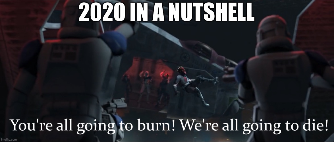 You’re all going to burn! We’re all going to die! | 2020 IN A NUTSHELL | image tagged in youre all going to burn were all going to die | made w/ Imgflip meme maker