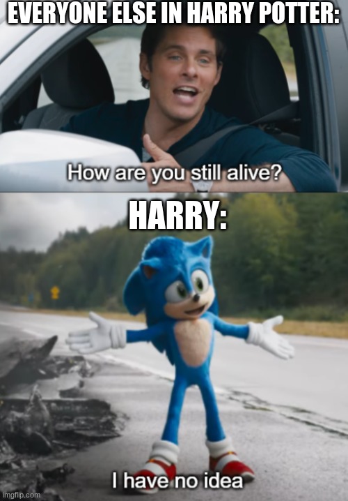 Am I wrong? | EVERYONE ELSE IN HARRY POTTER:; HARRY: | image tagged in sonic  how are you still alive,harry potter,memes,imgflip,funny | made w/ Imgflip meme maker