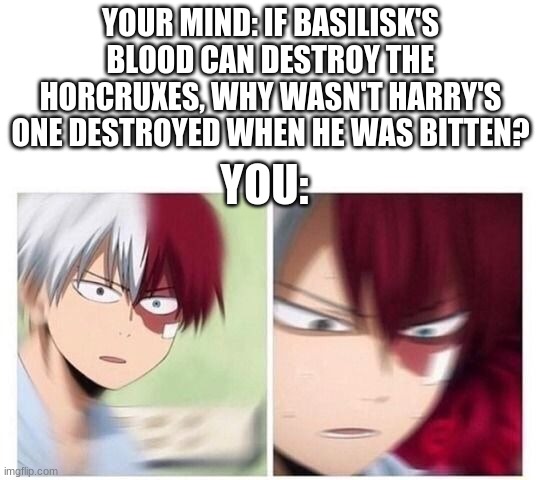 Harry Potter Has Broken the 4th wall | YOUR MIND: IF BASILISK'S BLOOD CAN DESTROY THE HORCRUXES, WHY WASN'T HARRY'S ONE DESTROYED WHEN HE WAS BITTEN? YOU: | image tagged in todoroki | made w/ Imgflip meme maker