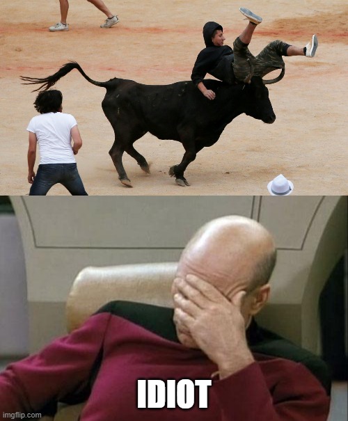 IDIOT | image tagged in memes,captain picard facepalm | made w/ Imgflip meme maker