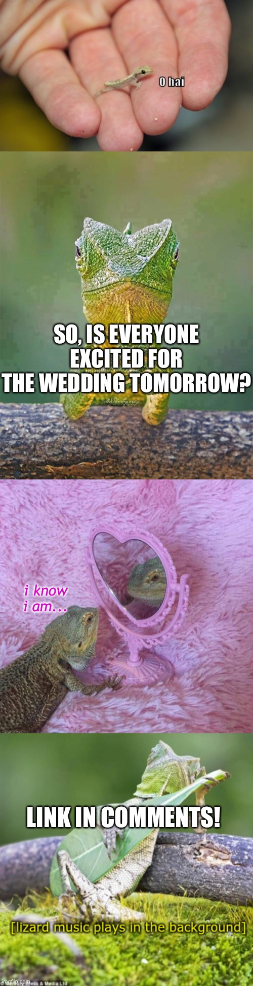 :D hope y'all have a good time | SO, IS EVERYONE EXCITED FOR THE WEDDING TOMORROW? i know i am... LINK IN COMMENTS! | image tagged in sarcastic lizard,lizard,lizard mirror,lizard hello | made w/ Imgflip meme maker
