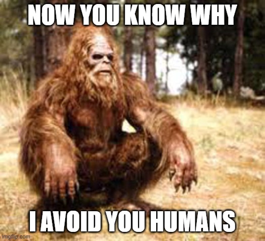 Now you know why | NOW YOU KNOW WHY; I AVOID YOU HUMANS | image tagged in bigfoot | made w/ Imgflip meme maker
