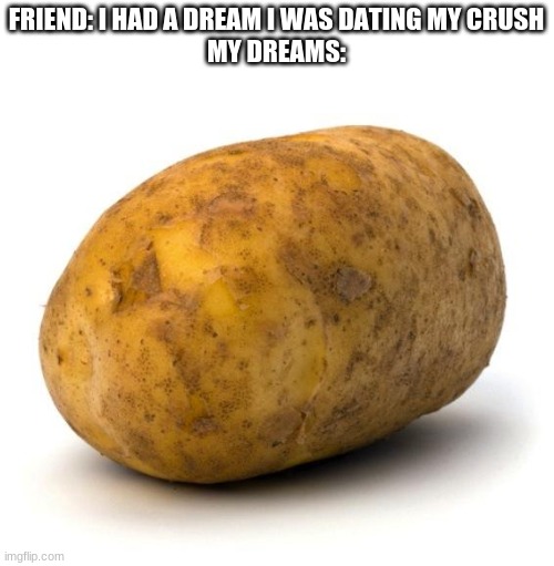 Yes my dreams are potato | FRIEND: I HAD A DREAM I WAS DATING MY CRUSH
MY DREAMS: | image tagged in potato,oh wow are you actually reading these tags | made w/ Imgflip meme maker