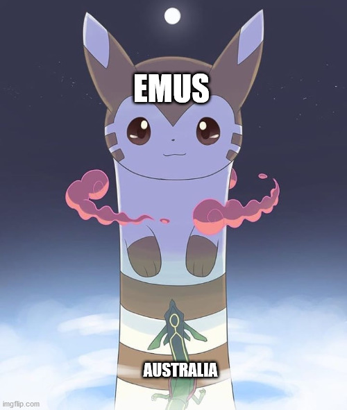 Don't anger the emus | EMUS; AUSTRALIA | image tagged in giant furret,memes,emu,australia,history | made w/ Imgflip meme maker