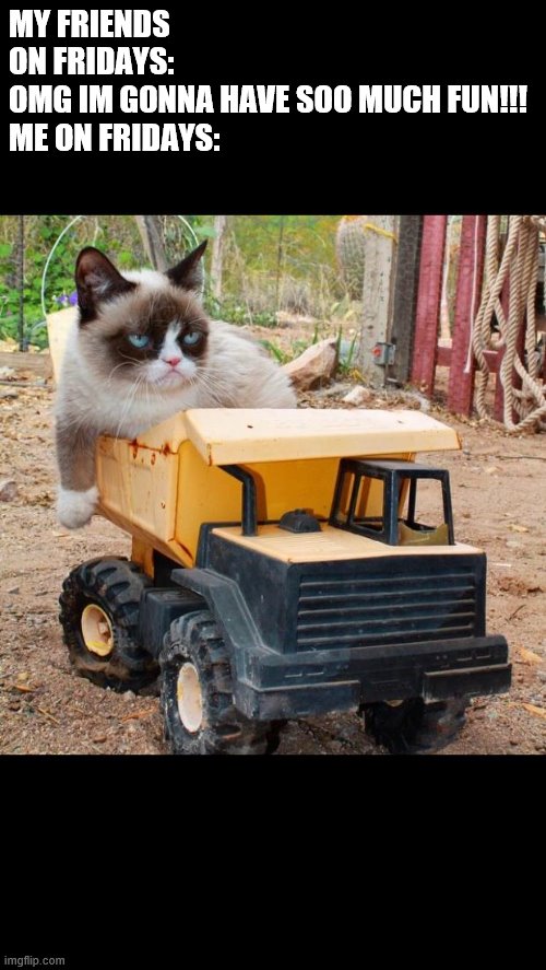 true | MY FRIENDS ON FRIDAYS: OMG IM GONNA HAVE SOO MUCH FUN!!!

ME ON FRIDAYS: | image tagged in grumpy cat - tractor,cool,true | made w/ Imgflip meme maker