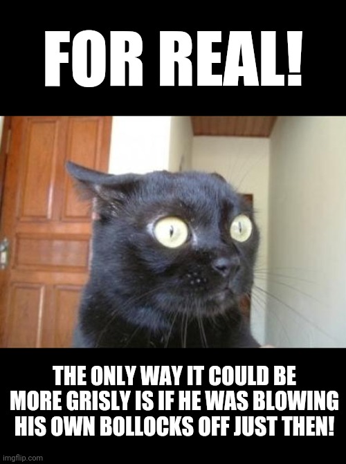 Cannot Be Unseen Cat | FOR REAL! THE ONLY WAY IT COULD BE MORE GRISLY IS IF HE WAS BLOWING HIS OWN BOLLOCKS OFF JUST THEN! | image tagged in cannot be unseen cat | made w/ Imgflip meme maker