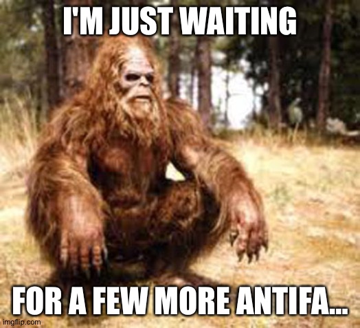 Waiting for AntiFa | I'M JUST WAITING; FOR A FEW MORE ANTIFA… | image tagged in bigfoot | made w/ Imgflip meme maker