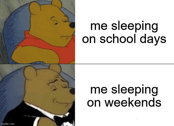 Tuxedo Winnie The Pooh | me sleeping on school days; me sleeping on weekends | image tagged in memes,tuxedo winnie the pooh | made w/ Imgflip meme maker