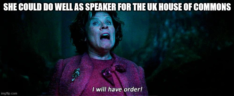 Since "order" is the only English word you gotta know for the job! :-P | SHE COULD DO WELL AS SPEAKER FOR THE UK HOUSE OF COMMONS | image tagged in umbridge - i will have order | made w/ Imgflip meme maker