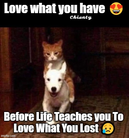 Love it now | 𝓒𝓱𝓲𝓪𝓷𝓽𝔂; Love what you have 😍; Before Life Teaches you To 
Love What You Lost 😥 | image tagged in life lessons | made w/ Imgflip meme maker