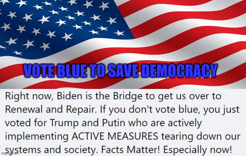 Vote Blue - heres why | VOTE BLUE TO SAVE DEMOCRACY | image tagged in vote blue,election 2020,joe biden,donald trump,democracy | made w/ Imgflip meme maker