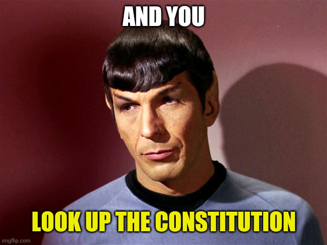 Sarcastically Spock | AND YOU LOOK UP THE CONSTITUTION | image tagged in sarcastically spock | made w/ Imgflip meme maker