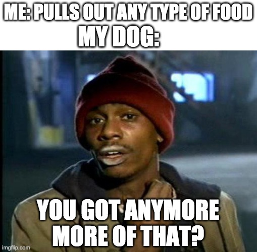 Dog | MY DOG:; ME: PULLS OUT ANY TYPE OF FOOD; YOU GOT ANYMORE MORE OF THAT? | image tagged in dave chappelle,you got any more,memes,funny,dog,baby jesus for moderator | made w/ Imgflip meme maker