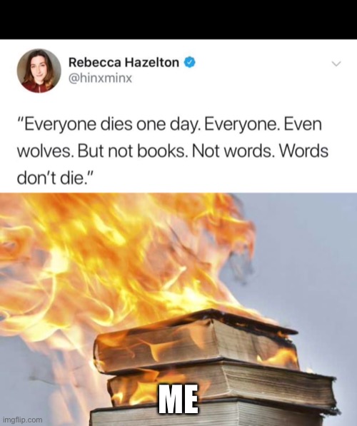 ME | image tagged in burning books | made w/ Imgflip meme maker