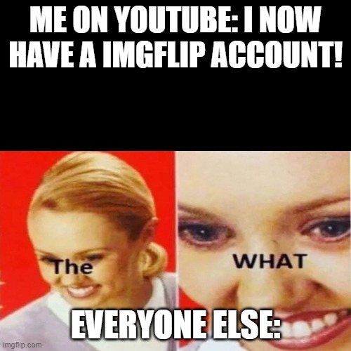 When i got this account | ME ON YOUTUBE: I NOW HAVE A IMGFLIP ACCOUNT! EVERYONE ELSE: | image tagged in the what | made w/ Imgflip meme maker