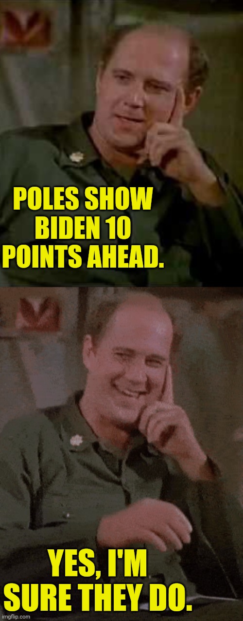 Major Winchester M.E.M.E | POLES SHOW BIDEN 10 POINTS AHEAD. YES, I'M SURE THEY DO. | image tagged in major winchester meme | made w/ Imgflip meme maker