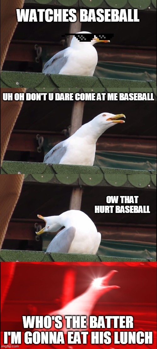 Inhaling Seagull | WATCHES BASEBALL; UH OH DON'T U DARE COME AT ME BASEBALL; OW THAT HURT BASEBALL; WHO'S THE BATTER I'M GONNA EAT HIS LUNCH | image tagged in memes,inhaling seagull | made w/ Imgflip meme maker