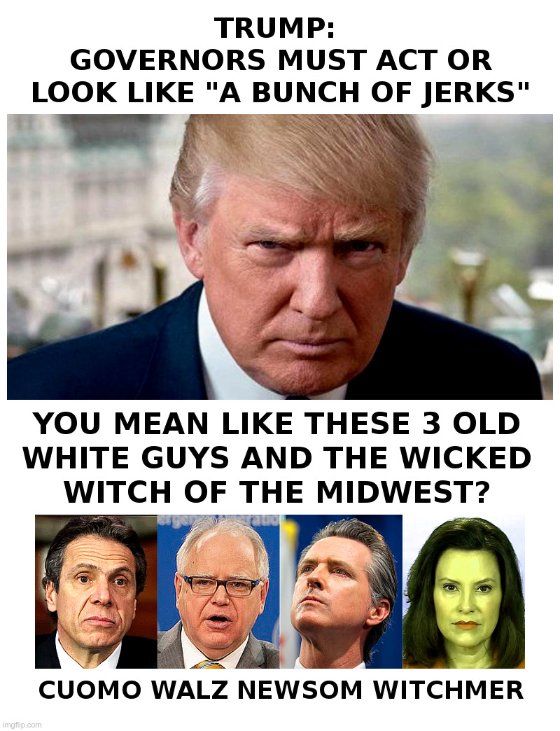 Trump: Governors "A Bunch of Jerks" | image tagged in trump,andrew cuomo,gretchen whitmer governor of michigan,tim walz,newsom,riots | made w/ Imgflip meme maker