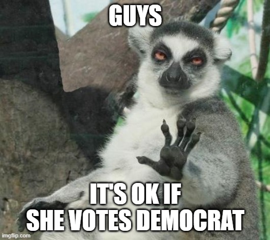 Stoner Lemur Meme | GUYS IT'S OK IF SHE VOTES DEMOCRAT | image tagged in memes,stoner lemur | made w/ Imgflip meme maker