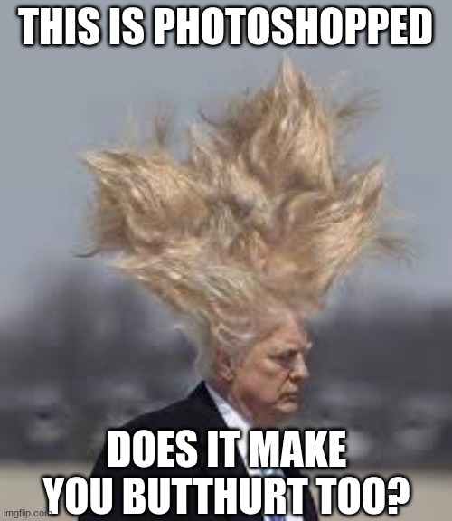 Trump Hair | THIS IS PHOTOSHOPPED DOES IT MAKE YOU BUTTHURT TOO? | image tagged in trump hair | made w/ Imgflip meme maker