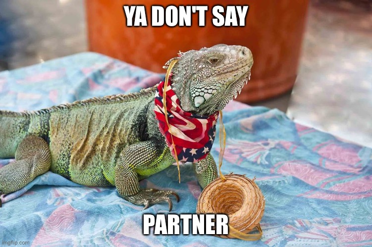 Cowboy lizard | YA DON'T SAY PARTNER | image tagged in cowboy lizard | made w/ Imgflip meme maker
