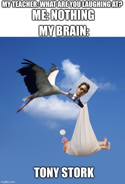 Tony stork | ME: NOTHING; MY TEACHER: WHAT ARE YOU LAUGHING AT? MY BRAIN:; TONY STORK | image tagged in stork natalism babies | made w/ Imgflip meme maker