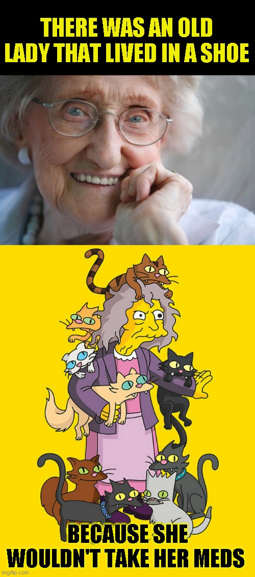 Another Dark Fairy tale for a Sunny Day | THERE WAS AN OLD LADY THAT LIVED IN A SHOE; BECAUSE SHE WOULDN'T TAKE HER MEDS | image tagged in crazy cat lady,oh they will get worse | made w/ Imgflip meme maker