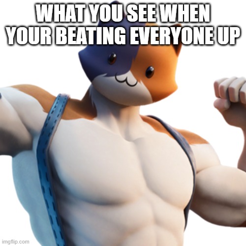 Meowscles | WHAT YOU SEE WHEN YOUR BEATING EVERYONE UP | image tagged in meowscles | made w/ Imgflip meme maker
