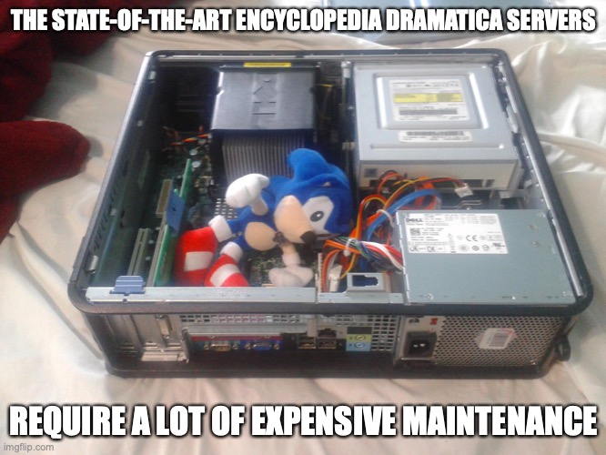 Sonic Inside Server | THE STATE-OF-THE-ART ENCYCLOPEDIA DRAMATICA SERVERS; REQUIRE A LOT OF EXPENSIVE MAINTENANCE | image tagged in server,sonic the hedgehog,memes,encyclopedia dramatica | made w/ Imgflip meme maker